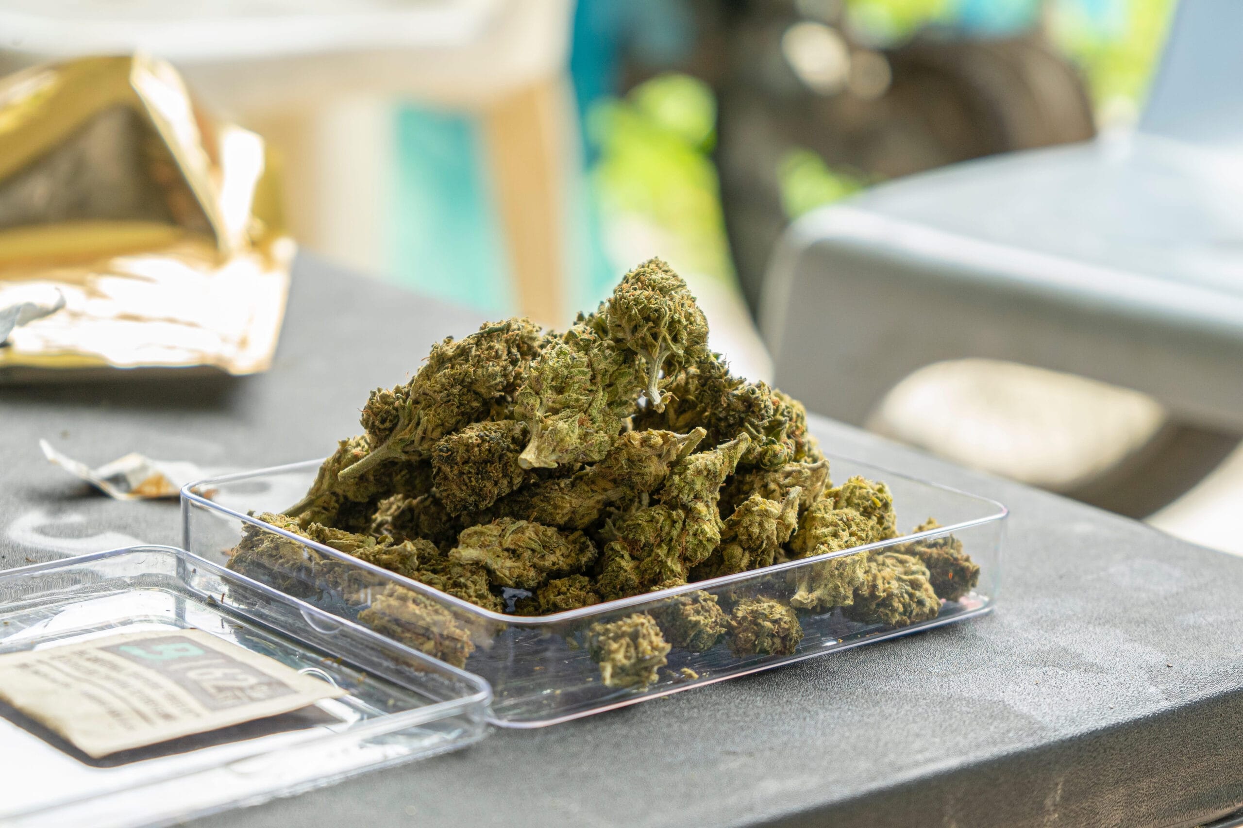 What are the best edible formats and dosing basics in Jersey City