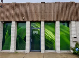 Green abstract leaf patterns on storefront windows with a wooden awning