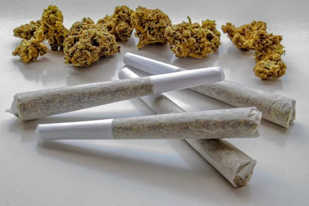 How do I shop edibles locally and legally in NJ in Jersey City