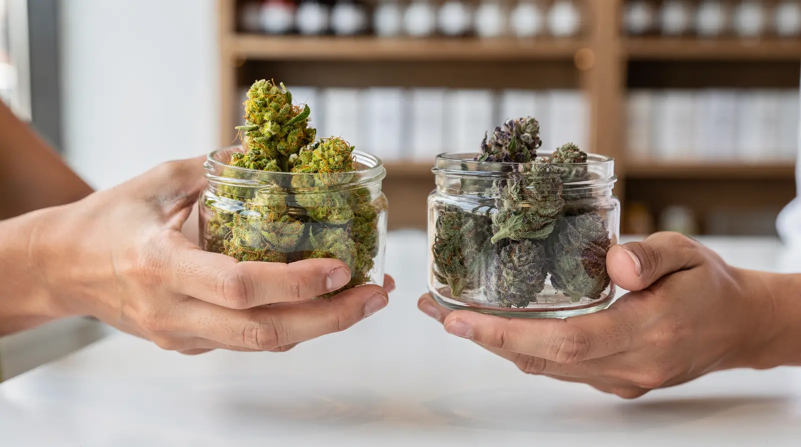How do terpene profiles affect your flower choice in Bloomfield, New Jersey